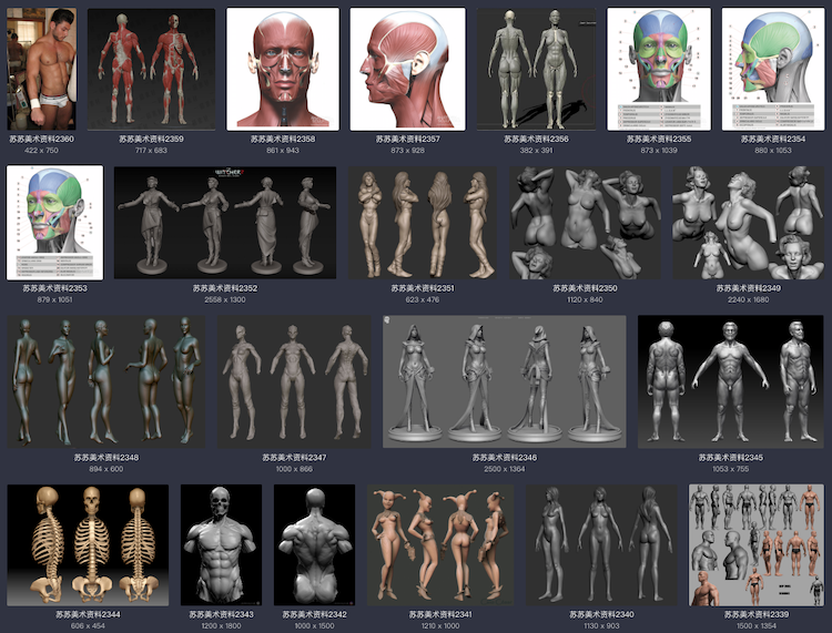 美术绘画 艺用三维3D人体雕塑解剖 肌肉骨骼结构 参考资料图片 3dmax 游戏动画 游戏模型 第2张