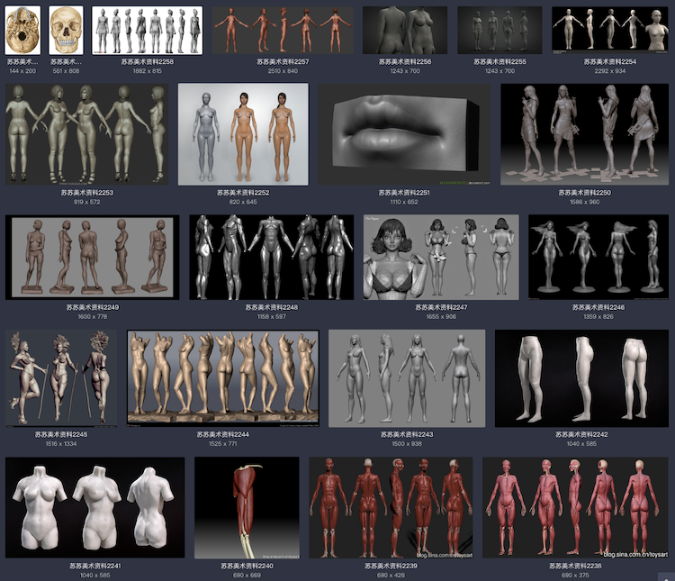 美术绘画 艺用三维3D人体雕塑解剖 肌肉骨骼结构 参考资料图片 3dmax 游戏动画 游戏模型 第3张