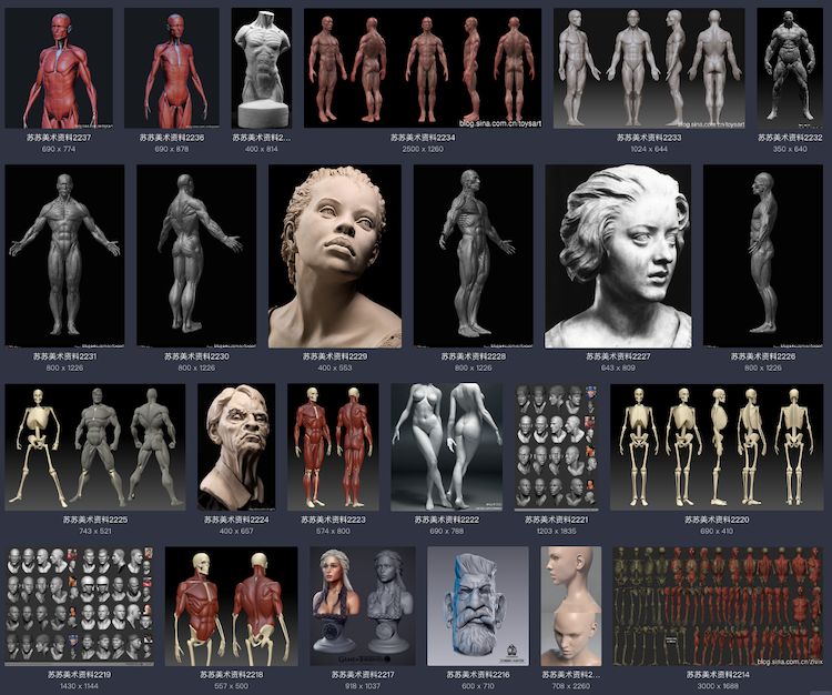 美术绘画 艺用三维3D人体雕塑解剖 肌肉骨骼结构 参考资料图片 3dmax 游戏动画 游戏模型 第4张