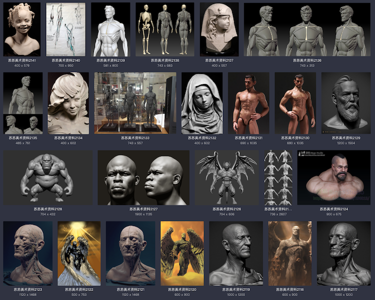 美术绘画 艺用三维3D人体雕塑解剖 肌肉骨骼结构 参考资料图片 3dmax 游戏动画 游戏模型 第9张