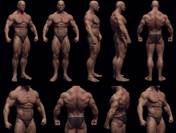 美术绘画 艺用三维3D人体雕塑解剖 肌肉骨骼结构 参考资料图片 3dmax 游戏动画 游戏模型 第11张