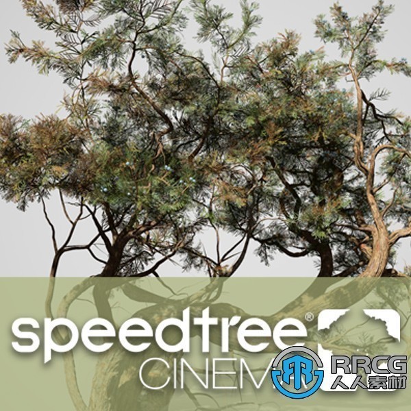 download SpeedTree Modeler Cinema Edition 9.3.0