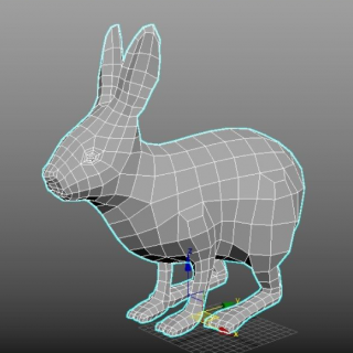 鹿与兔基础四边模型