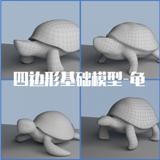 【元素出品】龟系列-基础模型-四边形-未塌陷-次世代-动物模型-乌龟-海龟