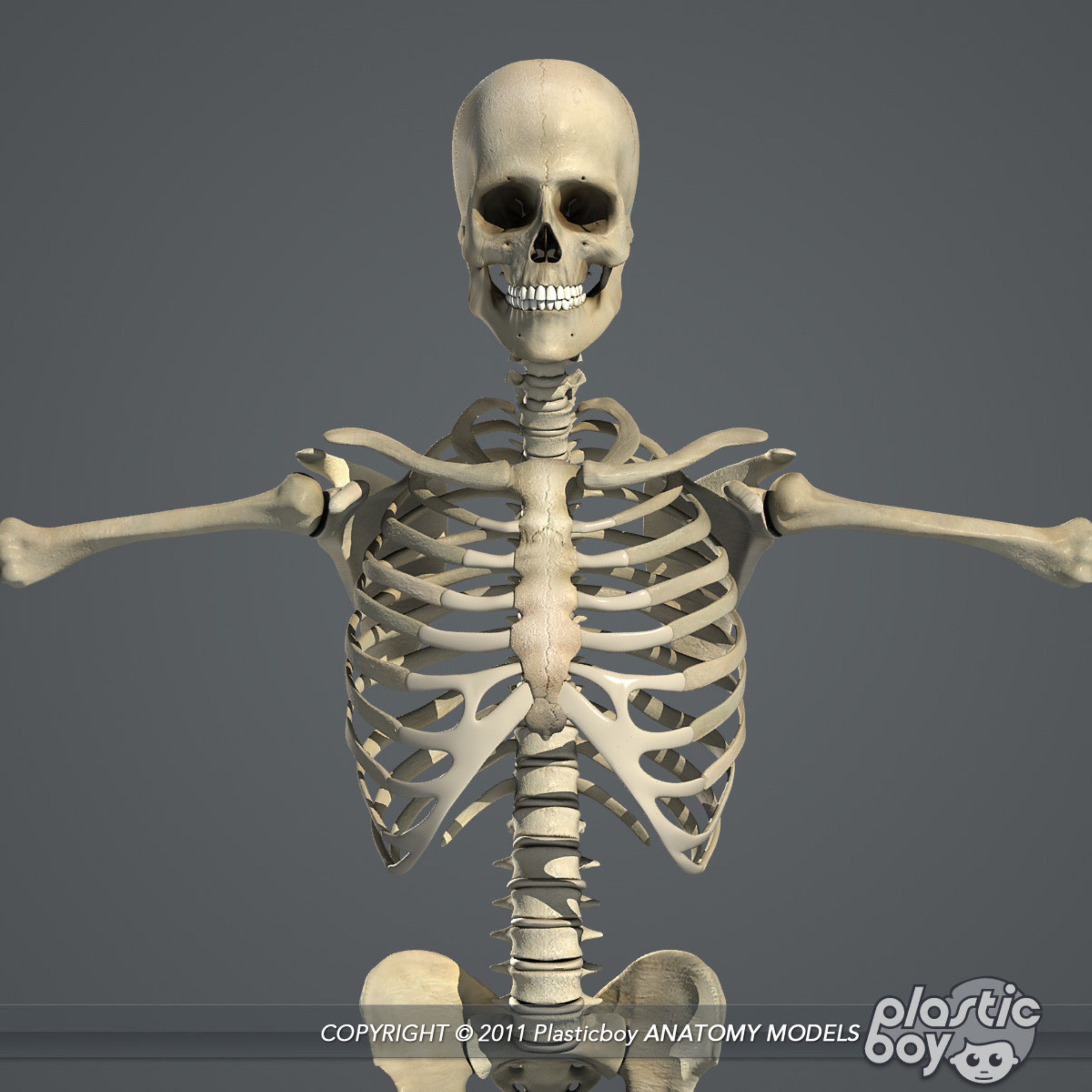 人体骨骼行走人体动态展示_AE模板下载(编号:5200503)_AE模板_VJ师网 www.vjshi.com